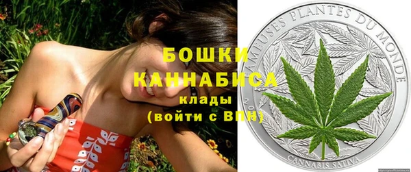 сатива Володарск