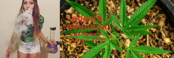 сатива Володарск