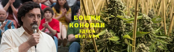 сатива Володарск