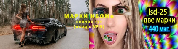 сатива Володарск