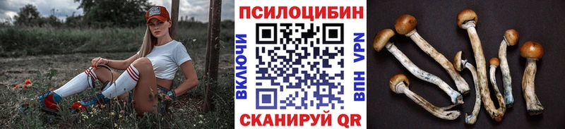кракен зеркало  Вышний Волочёк  Галлюциногенные грибы ЛСД 